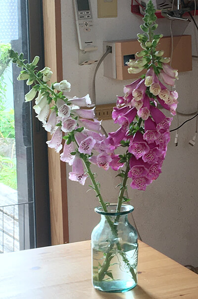 花瓶と春の花